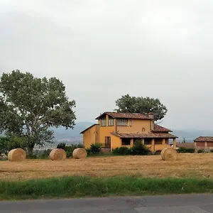 Vigna Del Poggio , Anghiari Italia